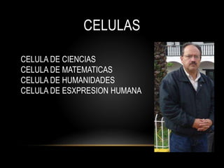 CELULAS
CELULA DE CIENCIAS
CELULA DE MATEMATICAS
CELULA DE HUMANIDADES
CELULA DE ESXPRESION HUMANA