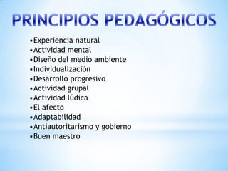 •Experiencia natural
•Actividad mental
•Diseño del medio ambiente
•Individualización
•Desarrollo progresivo
•Actividad grupal
•Actividad lúdica
•El afecto
•Adaptabilidad
•Antiautoritarismo y gobierno
•Buen maestro
 