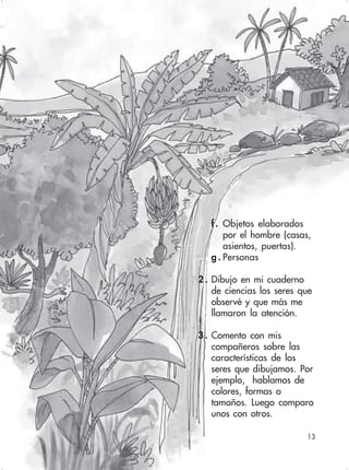 13
f. Objetos elaborados
por el hombre (casas,
asientos, puertas).
g . Personas
2 . Dibujo en mi cuaderno
de ciencias los seres que
observé y que más me
llamaron la atención.
3 . Comento con mis
compañeros sobre las
características de los
seres que dibujamos. Por
ejemplo, hablamos de
colores, formas o
tamaños. Luego comparo
unos con otros.
13
 