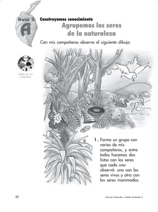 20 Ciencias Naturales y Medio Ambiente 2
Guía 2
A
Construyamos conocimiento
Agrupemos los seres
de la naturaleza
Con mis compañeros observo el siguiente dibujo:
Trabajo con mis
compañeros
1 . Formo un grupo con
varios de mis
compañeros, y entre
todos hacemos dos
listas con los seres
que cada uno
observó: una con los
seres vivos y otra con
los seres inanimados.
 