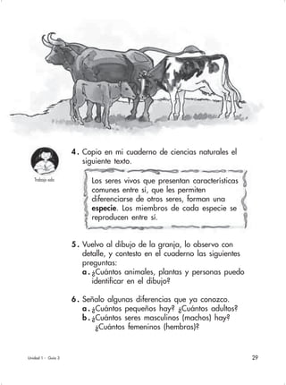 29Unidad 1 - Guía 3
5 . Vuelvo al dibujo de la granja, lo observo con
detalle, y contesto en el cuaderno las siguientes
preguntas:
a . ¿Cuántos animales, plantas y personas puedo
identificar en el dibujo?
6 . Señalo algunas diferencias que ya conozco.
a . ¿Cuántos pequeños hay? ¿Cuántos adultos?
b . ¿Cuántos seres masculinos (machos) hay?
¿Cuántos femeninos (hembras)?
Los seres vivos que presentan características
comunes entre sí, que les permiten
diferenciarse de otros seres, forman una
especie. Los miembros de cada especie se
reproducen entre sí.
Trabajo sola
4 . Copio en mi cuaderno de ciencias naturales el
siguiente texto.
 