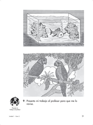 31Unidad 1 - Guía 3
9. Presento mi trabajo al profesor para que me lo
revise.
Presento mi
trabajo a el profesor
 