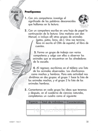 35
Especie Total de individuos Características
Unidad 1 - Guía 3
Guía 3
Trabajo con mis
compañeros
No escribas aquí
Practiquemos
1 . Con mis compañeros investigo el
significado de las palabras desconocidas
que hallamos en la lectura.
2 . Con un compañero escribo en una hoja de papel la
continuación de la lectura: Una mañana con don
Manuel, e incluyo allí otros grupos de animales
(gatos, patos, loros, etc.). Una vez termine,
llevo mi escrito al CRA de español, al libro de
cuentos.
3. Formo un grupo de trabajo con varios
compañeros y salgo con ellos a observar los
animales que se encuentran en los alrededores
de la escuela.
4. Al regresar, escribimos en el tablero una lista
de los animales observados. Los clasificamos
como machos y hembras. Para esta actividad nos
dividimos en dos grupos: el grupo 1 hace la lista de
los animales machos, y el grupo 2 la lista de los
animales hembras.
5 . Comentamos en cada grupo las ideas que tenemos
y después, en el cuaderno de ciencias naturales,
completamos un cuadro como el siguiente:
C
 