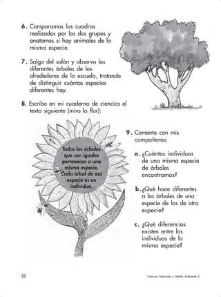 36  Ciencias Naturales y Medio Ambiente 2
6 . Comparamos los cuadros
realizados por los dos grupos y
anotamos si hay animales de la
misma especie.
7 . Salgo del salón y observo los
diferentes árboles de los
alrededores de la escuela, tratando
de distinguir cuántas especies
diferentes hay.
8. Escribo en mi cuaderno de ciencias el
texto siguiente (miro la flor):
9 . Comento con mis
compañeros:
a . ¿Cuántos individuos
de una misma especie
de árboles
encontramos?
b .¿Qué hace diferentes
a los árboles de una
especie de los de otra
especie?
c. ¿Qué diferencias
existen entre los
individuos de la
misma especie?
Todos los árboles
que son iguales
pertenecen a una
misma especie.
Cada árbol de esa
especie es un
individuo.
 