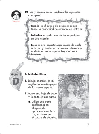 37
10. Leo y escribo en mi cuaderno los siguientes
conceptos:
Especie es el grupo de organismos que
tienen la capacidad de reproducirse entre sí.
Individuo es cada uno de los organismos
de una especie.
Sexo es una característica propia de cada
individuo y puede ser masculino o femenino,
es decir, en cada especie hay machos y
hembras.
Guía 3
Trabajo sola
Unidad 1 - Guía 3
Actividades libres
1. Dibujo animales de mi
región, formando grupos
de la misma especie.
2 . Busco una hoja de papel
y la corto en dos partes.
a . Utilizo una parte
doblándola en
pliegues de
aproximadamente 5
cm, en forma de
zigzag o de abanico.
D
 