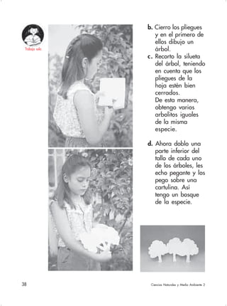 38  Ciencias Naturales y Medio Ambiente 2
b. Cierro los pliegues
y en el primero de
ellos dibujo un
árbol.
c. Recorto la silueta
del árbol, teniendo
en cuenta que los
pliegues de la
hoja estén bien
cerrados.
De esta manera,
obtengo varios
arbolitos iguales
de la misma
especie.
d. Ahora doblo una
parte inferior del
tallo de cada uno
de los árboles, les
echo pegante y los
pego sobre una
cartulina. Así
tengo un bosque
de la especie.
Trabajo sola
 