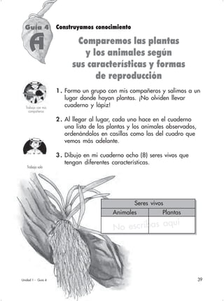 39
Trabajo solo
1 . Formo un grupo con mis compañeros y salimos a un
lugar donde hayan plantas. ¡No olviden llevar
cuaderno y lápiz!
2 . Al llegar al lugar, cada uno hace en el cuaderno
una lista de las plantas y los animales observados,
ordenándolos en casillas como las del cuadro que
vemos más adelante.
3 . Dibujo en mi cuaderno ocho (8) seres vivos que
tengan diferentes características.
Guía 4
Comparemos las plantas
y los animales según
sus características y formas
de reproducción
Construyamos conocimiento
Unidad 1 - Guía 4
Trabajo con mis
compañeros
Seres vivos
Animales Plantas
No escribas aquí
A
 