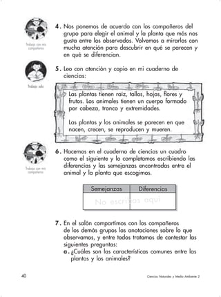 40 Ciencias Naturales y Medio Ambiente 2
Las plantas tienen raíz, tallos, hojas, flores y
frutos. Los animales tienen un cuerpo formado
por cabeza, tronco y extremidades.
Las plantas y los animales se parecen en que
nacen, crecen, se reproducen y mueren.
4 . Nos ponemos de acuerdo con los compañeros del
grupo para elegir el animal y la planta que más nos
gusta entre los observados. Volvemos a mirarlos con
mucha atención para descubrir en qué se parecen y
en qué se diferencian.
5 . Leo con atención y copio en mi cuaderno de
ciencias:
6 . Hacemos en el cuaderno de ciencias un cuadro
como el siguiente y lo completamos escribiendo las
diferencias y las semejanzas encontradas entre el
animal y la planta que escogimos.
Trabajo con mis
compañeros
Trabajo sola
Trabajo con mis
compañeros
7 . En el salón compartimos con los compañeros
de los demás grupos las anotaciones sobre lo que
observamos, y entre todos tratamos de contestar las
siguientes preguntas:
a . ¿Cuáles son las características comunes entre las
plantas y los animales?
Semejanzas Diferencias
No escribas aquí
 