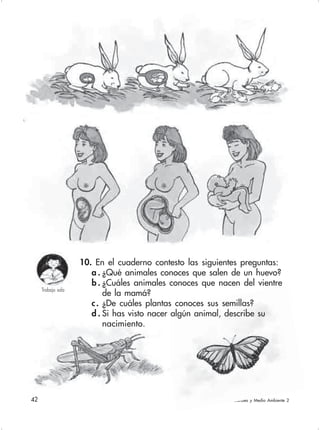 42 Ciencias Naturales y Medio Ambiente 2
10. En el cuaderno contesto las siguientes preguntas:
a . ¿Qué animales conoces que salen de un huevo?
b . ¿Cuáles animales conoces que nacen del vientre
de la mamá?
c. ¿De cuáles plantas conoces sus semillas?
d . Si has visto nacer algún animal, describe su
nacimiento.
Trabajo sola
 