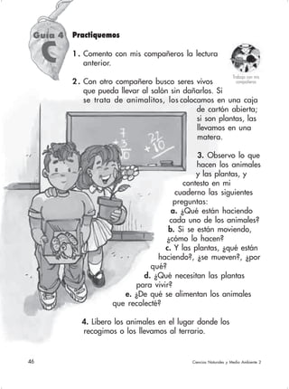 46 Ciencias Naturales y Medio Ambiente 2
Guía 4
Trabajo con mis
compañeros
Practiquemos
1 . Comento con mis compañeros la lectura
anterior.
2 . Con otro compañero busco seres vivos
que pueda llevar al salón sin dañarlos. Si
se trata de animalitos, los colocamos en una caja
de cartón abierta;
si son plantas, las
llevamos en una
matera.
3. Observo lo que
hacen los animales
y las plantas, y
contesto en mi
cuaderno las siguientes
preguntas:
a. ¿Qué están haciendo
cada uno de los animales?
b. Si se están moviendo,
¿cómo lo hacen?
c. Y las plantas, ¿qué están
haciendo?, ¿se mueven?, ¿por
qué?
d. ¿Qué necesitan las plantas
para vivir?
e. ¿De qué se alimentan los animales
que recolecté?
4. Libero los animales en el lugar donde los
recogimos o los llevamos al terrario.
C
 