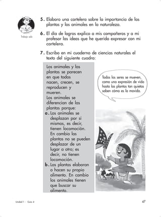 47
5 . Elaboro una cartelera sobre la importancia de las
plantas y los animales en la naturaleza.
6 . El día de logros explico a mis compañeros y a mi
profesor las ideas que he querido expresar con mi
cartelera.
7 . Escribo en mi cuaderno de ciencias naturales el
texto del siguiente cuadro:
Unidad 1 - Guía 4
Trabajo solo
Los animales y las
plantas se parecen
en que todos
nacen, crecen, se
reproducen y
mueren.
Los animales se
diferencian de las
plantas porque:
a . Los animales se
desplazan por sí
mismos, es decir,
tienen locomoción.
En cambio las
plantas no se pueden
desplazar de un
lugar a otro; es
decir, no tienen
locomoción.
b . Las plantas elaboran
o hacen su propio
alimento. En cambio
los animales tienen
que buscar su
alimento.
Todos los seres se mueven,
como una expresión de vida
hasta las plantas tan quietas
saben cómo es la movida.
 