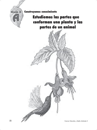 50 Ciencias Naturales y Medio Ambiente 2Ciencias Naturales y Medio Ambiente 2
Guía 5
A
Construyamos conocimiento
Estudiemos las partes que
conforman una planta y las
partes de un animal
 