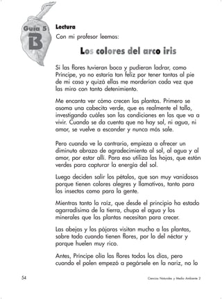 54 Ciencias Naturales y Medio Ambiente 2
Guía 5
B
Lectura
Con mi profesor leemos:
Los colores del arco iris
Si las flores tuvieran boca y pudieran ladrar, como
Príncipe, yo no estaría tan feliz por tener tantas al pie
de mi casa y quizá ellas me morderían cada vez que
las miro con tanto detenimiento.
Me encanta ver cómo crecen las plantas. Primero se
asoma una cabecita verde, que es realmente el tallo,
investigando cuáles son las condiciones en las que va a
vivir. Cuando se da cuenta que no hay sol, ni agua, ni
amor, se vuelve a esconder y nunca más sale.
Pero cuando ve lo contrario, empieza a ofrecer un
diminuto abrazo de agradecimiento al sol, al agua y al
amor, por estar allí. Para eso utiliza las hojas, que están
verdes para capturar la energía del sol.
Luego deciden salir los pétalos, que son muy vanidosos
porque tienen colores alegres y llamativos, tanto para
los insectos como para la gente.
Mientras tanto la raíz, que desde el principio ha estado
agarradísima de la tierra, chupa el agua y los
minerales que las plantas necesitan para crecer.
Las abejas y los pájaros visitan mucho a las plantas,
sobre todo cuando tienen flores, por lo del néctar y
porque huelen muy rico.
Antes, Príncipe olía las flores todos los días, pero
cuando el polen empezó a pegársele en la nariz, no lo
 