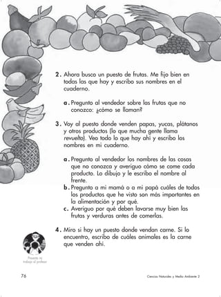 76 Ciencias Naturales y Medio Ambiente 2
2 . Ahora busco un puesto de frutas. Me fijo bien en
todas las que hay y escribo sus nombres en el
cuaderno.
a . Pregunto al vendedor sobre las frutas que no
conozco: ¿cómo se llaman?
3 . Voy al puesto donde venden papas, yucas, plátanos
y otros productos (lo que mucha gente llama
revuelto). Veo todo lo que hay ahí y escribo los
nombres en mi cuaderno.
a . Pregunto al vendedor los nombres de las cosas
que no conozca y averiguo cómo se come cada
producto. Lo dibujo y le escribo el nombre al
frente.
b . Pregunto a mi mamá o a mi papá cuáles de todos
los productos que he visto son más importantes en
la alimentación y por qué.
c. Averiguo por qué deben lavarse muy bien las
frutas y verduras antes de comerlas.
4 . Miro si hay un puesto donde vendan carne. Si lo
encuentro, escribo de cuáles animales es la carne
que venden ahí.
Presento mi
trabajo al profesor
 