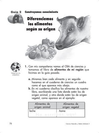 78 Ciencias Naturales y Medio Ambiente 2
1 . Con mis compañeros vamos al CRA de ciencias y
tomamos el libro de alimentos de mi región que
hicimos en la guía pasada.
a . Miramos bien cada alimento y en seguida
hacemos en el cuaderno de ciencias un cuadro
como el que aparece más abajo.
b . En mi cuaderno clasifico los alimentos de nuestro
libro, escribiendo una lista donde estén los de
origen animal, y otra donde estén los de origen
vegetal, como aparece en el ejemplo:
leche ñame
Trabajo con mis
compañeros
Guía 2
AAAAA
Alimentos de
origen animal
Alimentos de
origen vegetal
N o e s c r i b a s a q u í
Construyamos conocimiento
Diferenciemos
los alimentos
según su origen
 