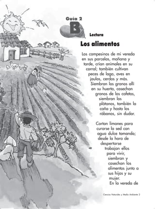 80
Guía 2
BBBBB
Los alimentos
Lectura
Los campesinos de mi vereda
en sus parcelas, mañana y
tarde, crían animales en su
corral; también cultivan
peces de lago, aves en
jaulas, cerdos y más.
Siembran los granos allí
en su huerta, cosechan
granos de los cafetos,
siembran los
plátanos, también la
caña y hasta los
rábanos, sin dudar.
Cortan limones para
curarse la sed con
agua dulce tomando;
desde la hora de
despertarse
trabajan ellos
para vivir,
siembran y
cosechan los
alimentos junto a
sus hijos y su
mujer.
En la vereda de
Ciencias Naturales y Medio Ambiente 2
 
