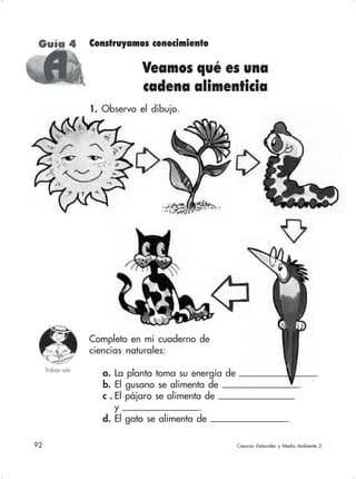 92 Ciencias Naturales y Medio Ambiente 2
Construyamos conocimiento
Veamos qué es una
cadena alimenticia
1. Observo el dibujo.
Guía 4
Completo en mi cuaderno de
ciencias naturales:
a. La planta toma su energía de .
b. El gusano se alimenta de .
c . El pájaro se alimenta de
y .
d. El gato se alimenta de .
Trabajo solo
AAAAA
 