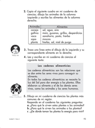 93Unidad 2 - Guía 4
2. Copio el siguiente cuadro en mi cuaderno de
ciencias; dibujo los animales de la columna
izquierda y escribo los alimentos de la columna
derecha.
5 . Dibujo en mi cuaderno de ciencias las plantas más
comunes de mi región.
Respondo en el cuaderno las siguientes preguntas:
a . ¿Para qué le sirven estas plantas a los animales?
b . ¿Para qué le sirven los animales a las plantas?
c . ¿De dónde toman las plantas la energía para vivir?
Presento mi
trabajo a la profesora
Trabajo sola
3 . Trazo una línea entre el dibujo de la izquierda y su
correspondiente alimento en la derecha.
4 . Leo y escribo en mi cuaderno de ciencias el
siguiente texto:
conejo sol, agua, aire
gallina maíz, gusanos, grillos, desperdicios
vaca zanahoria, pasto, hierba
sapo moscas
planta hierba, sal, miel de purga
Animales Alimentos
Las cadenas alimenticias
Las cadenas alimenticias son las relaciones que
se dan entre los seres vivos para conseguir su
alimento.
En todas las cadenas alimenticias se necesita la
luz del Sol para dar energía a las plantas. Ellas
elaboran su alimento y el de los demás seres
vivos, como los animales y los seres humanos.
 