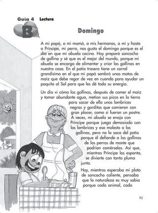 95
Lectura
Domingo
A mi papá, a mi mamá, a mis hermanos, a mí y hasta
a Príncipe, mi perro, nos gusta el domingo porque es el
día en que mi abuela cocina. Hoy preparó sancocho
de gallina y sé que es el mejor del mundo, porque mi
abuela se encarga de alimentar y criar las gallinas en
nuestra casa. En el patio trasero tiene un corral
grandísimo en el que mi papá sembró unas matas de
maíz que debe regar de vez en cuando para ayudar un
poquito al Sol para que les dé toda su energía.
Un día vi cómo las gallinas, después de comer el maíz
y tomar abundante agua, metían sus picos en la tierra
para sacar de ella unas lombrices
negras y gorditas que comieron con
gran placer, como si fueran un postre.
A veces, mi abuela se enoja con
Príncipe porque juega demasiado con
las lombrices y eso molesta a las
gallinas, pero no lo saca del patio
porque él defiende a las gallinas
de los perros de monte que
podrían comérselas. Así que,
mientras Príncipe los espanta,
se divierte con tanta pluma
junta.
Hoy, mientras esperaba mi plato
de sancocho caliente, pensaba
que la naturaleza es muy sabia
porque cada animal, cada
Guía 4
BBBBB
 