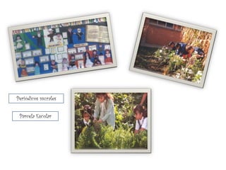 Periódicos murales


 Parcela Escolar
 