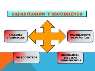 TALLERES
VIVENCIALES
MEJORAMIENTO
DE PRÁCTICAS
MICROCENTROS
OBSERVACIÓN
ESCUELAS
DEMOSTRATIVAS
 