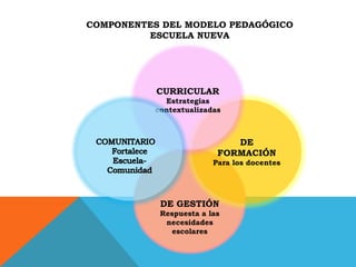 DE GESTIÓN
Respuesta a las
necesidades
escolares
COMPONENTES DEL MODELO PEDAGÓGICO
ESCUELA NUEVA
DE
FORMACIÓN
Para los docentes
CURRICULAR
Estrategias
contextualizadas
 
