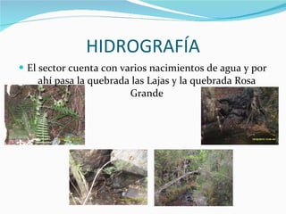 HIDROGRAFÍA El sector cuenta con varios nacimientos de agua y por ahí pasa la quebrada las Lajas y la quebrada Rosa Grande 