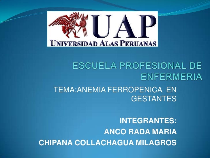Escuela Profesional De Enfermeria Anemia Final4444