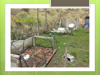 La huerta 
 