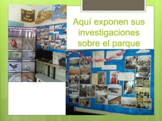 Aquí exponen sus 
investigaciones 
sobre el parque 
 