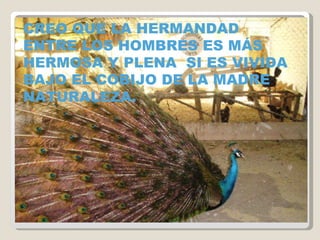 CREO QUE LA HERMANDAD ENTRE LOS HOMBRES ES MÁS  HERMOSA Y PLENA  SI ES VIVIDA BAJO EL COBIJO DE LA MADRE NATURALEZA. 