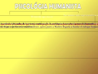 Wolfgang Köhler   (1887 – 1967).   