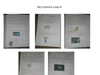 Pag 12 glosario a pag 14
 