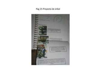 Pag 25 Proyecto de árbol
 