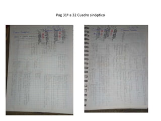 Pag 31ª a 32 Cuadro sinóptico
 