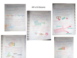 49ª a 53 Glosario
 