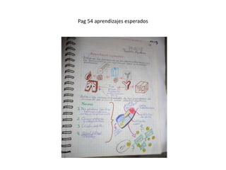 Pag 54 aprendizajes esperados
 