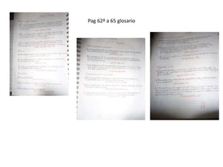 Pag 62ª a 65 glosario
 