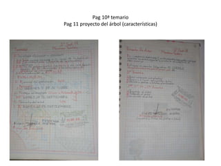 Pag 10ª temario
Pag 11 proyecto del árbol (características)
 