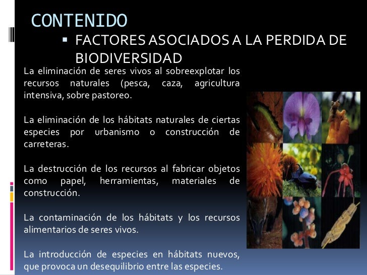 biodiversidad en mexico