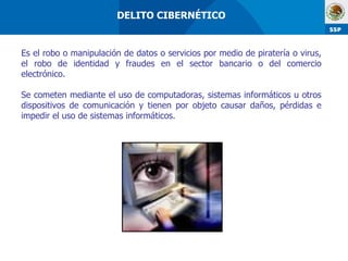 Es el robo o manipulación de datos o servicios por medio de piratería o virus, el robo de identidad y fraudes en el sector bancario o del comercio electrónico. Se cometen mediante el uso de computadoras, sistemas informáticos u otros dispositivos de comunicación y tienen por objeto causar daños, pérdidas e impedir el uso de sistemas informáticos. DELITO CIBERNÉTICO  