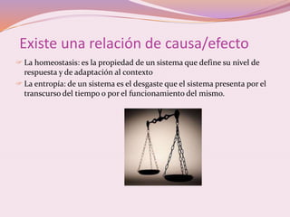 Existe una relación de causa/efecto 
 La homeostasis: es la propiedad de un sistema que define su nivel de 
respuesta y de adaptación al contexto 
 La entropía: de un sistema es el desgaste que el sistema presenta por el 
transcurso del tiempo o por el funcionamiento del mismo. 
 