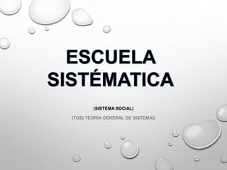 (SISTEMA SOCIAL)
(TGS) TEORÍA GENERAL DE SISTEMAS
 