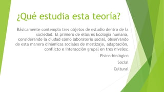 ¿Qué estudia esta teoría?
Básicamente contempla tres objetos de estudio dentro de la
sociedad. El primero de ellos es Ecología humana,
considerando la ciudad como laboratorio social, observando
de esta manera dinámicas sociales de mestizaje, adaptación,
conflicto e interacción grupal en tres niveles:
Físico-biológico
Social
Cultural
 