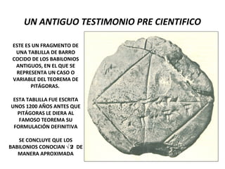 UN ANTIGUO TESTIMONIO PRE CIENTIFICO
ESTE ES UN FRAGMENTO DE
UNA TABLILLA DE BARRO
COCIDO DE LOS BABILONIOS
ANTIGUOS, EN EL QUE SE
REPRESENTA UN CASO O
VARIABLE DEL TEOREMA DE
PITÁGORAS.
ESTA TABLILLA FUE ESCRITA
UNOS 1200 AÑOS ANTES QUE
PITÁGORAS LE DIERA AL
FAMOSO TEOREMA SU
FORMULACIÓN DEFINITIVA
SE CONCLUYE QUE LOS
BABILONIOS CONOCIAN √2 DE
MANERA APROXIMADA
 