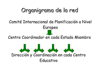 Organigrama de la red
Comité Internacional de Planificación a Nivel
Europeo
Centro Coordinador en cada Estado Miembro

Dirección y Coordinación en cada Centro
Educativo

 