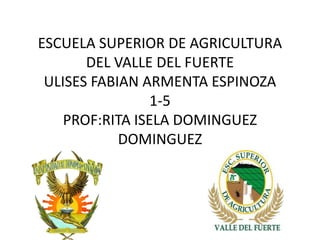 ESCUELA SUPERIOR DE AGRICULTURA
DEL VALLE DEL FUERTE
ULISES FABIAN ARMENTA ESPINOZA
1-5
PROF:RITA ISELA DOMINGUEZ
DOMINGUEZ
 
