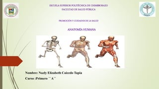 ESCUELA SUPERIOR POLITÉCNICA DE CHIMBBORAZO
FACULTAD DE SALUD PÚBLICA
PROMOCIÓN Y CUIDADOS DE LA SALUD
ANATOMÍA HUMANA
Nombre: Nazly Elizabeth Caicedo Tapia
Curso :Primero ´´ A´´
 