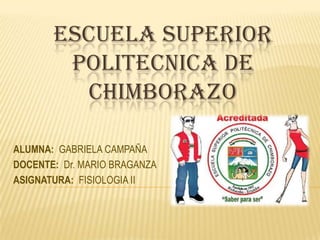 ESCUELA SUPERIOR
POLITECNICA DE
CHIMBORAZO
ALUMNA: GABRIELA CAMPAÑA
DOCENTE: Dr. MARIO BRAGANZA
ASIGNATURA: FISIOLOGIA II
 