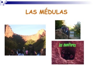 LAS MÉDULAS